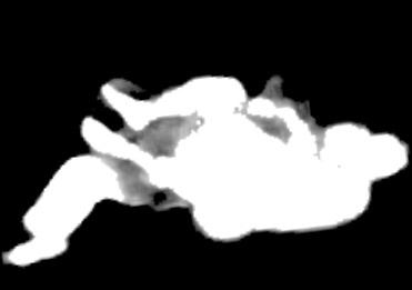 SEGMENTATION MASK · GRIPS